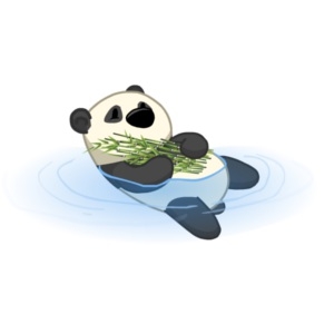 Paddling Panda